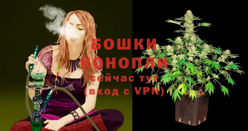 что такое наркотик  Нелидово  hydra маркетплейс  Марихуана White Widow 